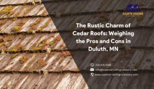 Cedar Roofs