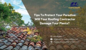 Tips To Protect Your Paradise Will Your Roofing Contractor Damage Your Plants